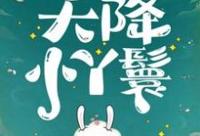 (全文)天降小丫鬟(夏夏)试读更新章节天降小丫鬟免费小说-永恒文学