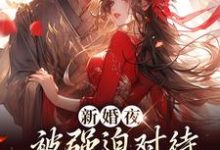 新婚夜被强迫对待，这叫不近女色？完整版小说，新婚夜被强迫对待，这叫不近女色？谢临珩虞听晚全章小说阅读-永恒文学