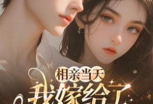 (全文)相亲当天，我嫁给了京都首富蓝冉最新完结小说相亲当天，我嫁给了京都首富免费小说全本-永恒文学