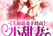 大叔追妻手段高,小甜妻逃不掉叶柠谢聿礼免费小说大叔追妻手段高,小甜妻逃不掉推荐完结小说-永恒文学