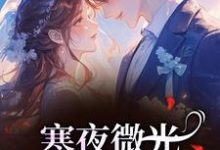 寒夜微光:她的逆袭人生完整版小说,寒夜微光:她的逆袭人生袁小苔全章小说阅读-永恒文学