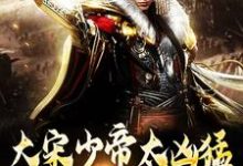 (全文)大宋少帝太凶猛，胡虏跪求放过完结小说推荐赵炳全本书籍阅读-永恒文学