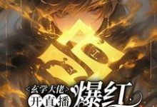 玄学大佬开直播，爆红阴阳两界（虞初见孟白首）全章小说阅读-永恒文学