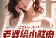 (全文)结婚纪念日，老婆给小鲜肉打榜应援免费小说全本，叶一帆试读更新章节-永恒文学