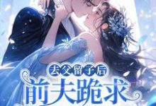 去父留子后，前夫跪求伺候我月子！最新完结小说去父留子后，前夫跪求伺候我月子！林亦棠免费小说-永恒文学