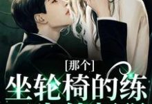 江北生那个坐轮椅的练习生他超强全本免费在线阅读-永恒文学