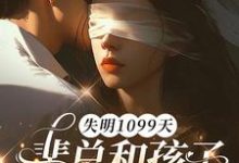 (全文)失明1099天,裴总和孩子我都不要了免费小说全本,谢南枝试读更新章节-永恒文学