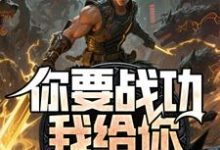(全文)你要战功我给你，妖兽入侵你哭啥(叶天)全本免费在线阅读-永恒文学