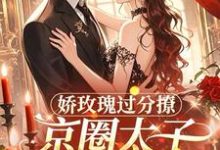 邓恩雅娇玫瑰过分撩，京圈太子底线全抛全本免费在线阅读-永恒文学