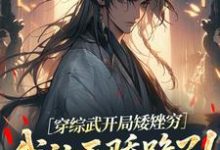 (全文)穿综武开局矮矬穷,我让天骄跪了!免费小说全本,武直试读更新章节-永恒文学