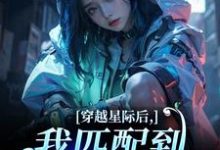 (全文)穿越星际后,我匹配到九个大冤种洛千最新完结小说穿越星际后,我匹配到九个大冤种免费小说全本-永恒文学