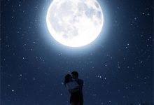 完结版《猫猫穿成炮灰，深陷反派争宠修罗场》章节阅读-永恒文学