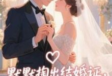 默默掏出结婚证,我的老公好奶(宋禧)小说推荐默默掏出结婚证,我的老公好奶全章小说阅读-永恒文学