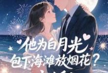 (全文)他为白月光包下海滩放烟花?离婚!霍宴州云初全本免费在线阅读-永恒文学