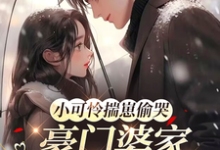 小可怜揣崽偷哭，豪门婆家来团宠推荐完结小说小可怜揣崽偷哭，豪门婆家来团宠(苏念念)免费小说全本-永恒文学
