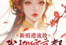 (全文)新婚遭流放，我搬空京都去逃荒免费小说全本，桑晚柠试读更新章节-永恒文学