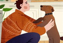 侄子在我家借住后,我和娘家断了亲(昊昊许昊)在线免费阅读-永恒文学